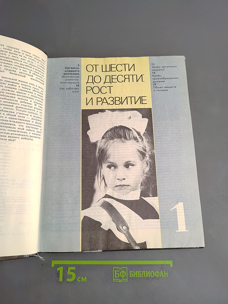 Мир детства. Младший школьник