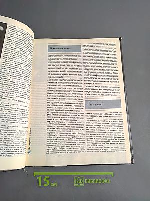 Мир детства. Младший школьник