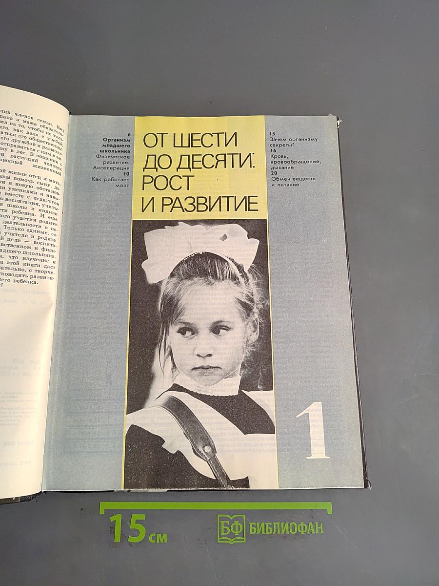 Мир детства. Младший школьник