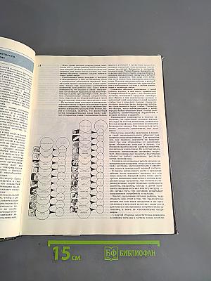 Мир детства. Младший школьник