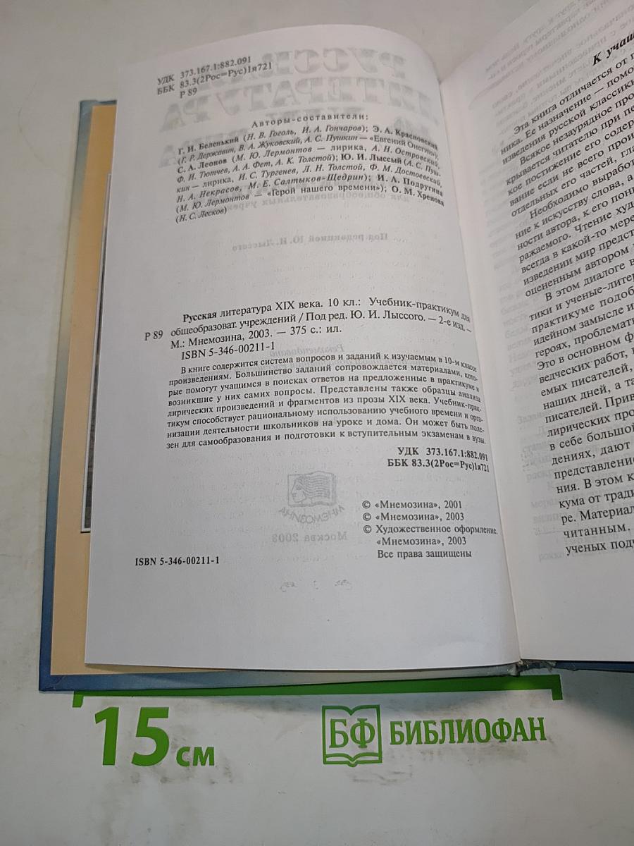 Русская литература. XIX век. 10 класс. Учебник-практикум