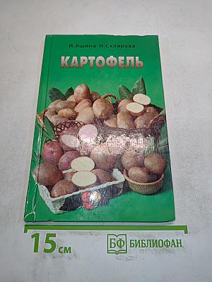 Картофель