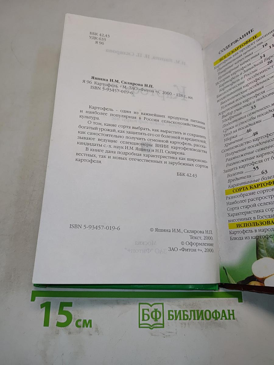 Картофель