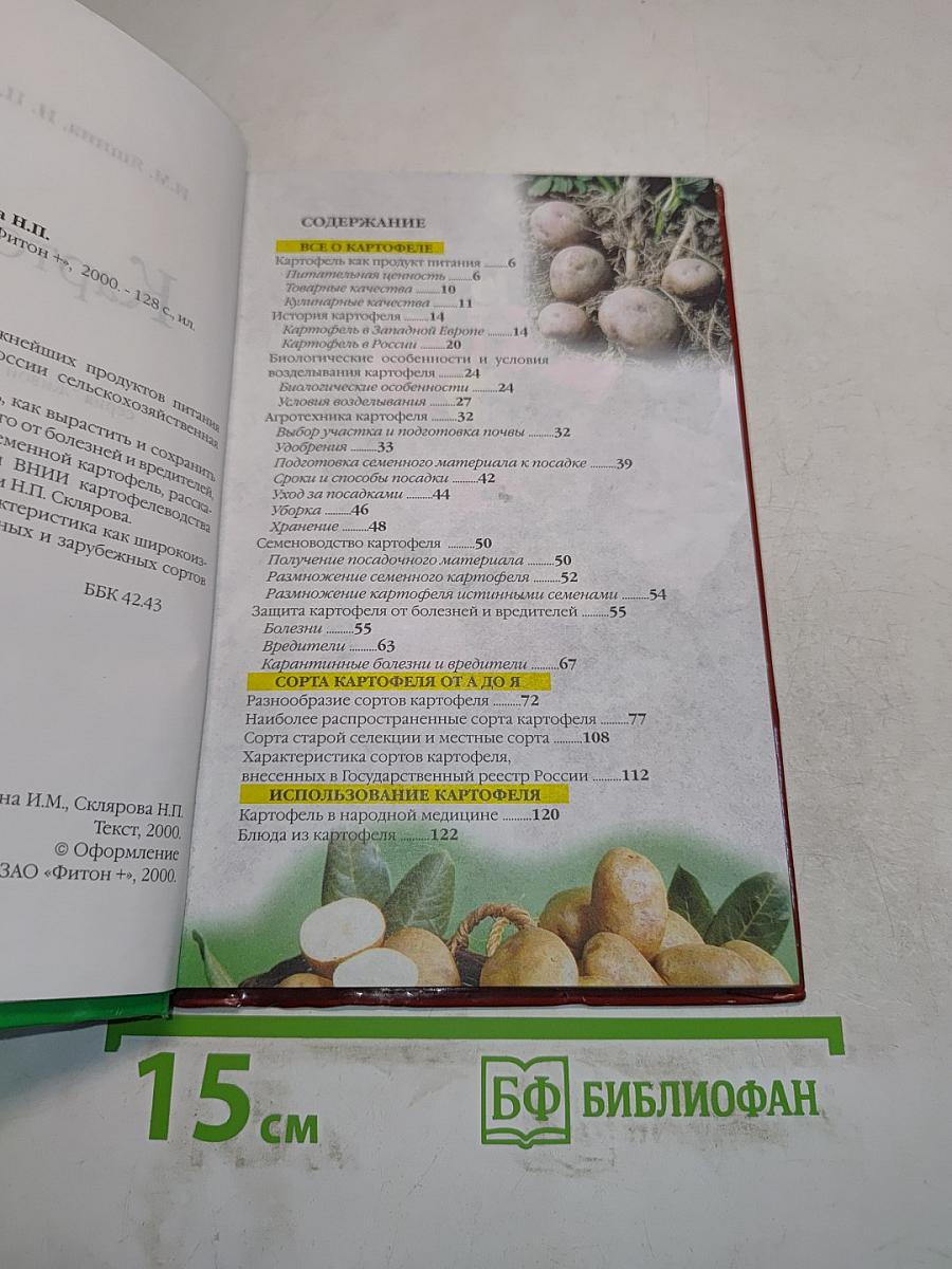 Картофель