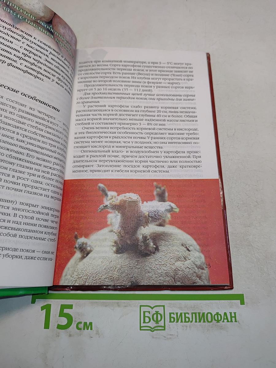 Картофель