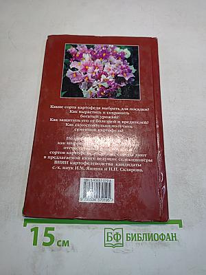 Картофель