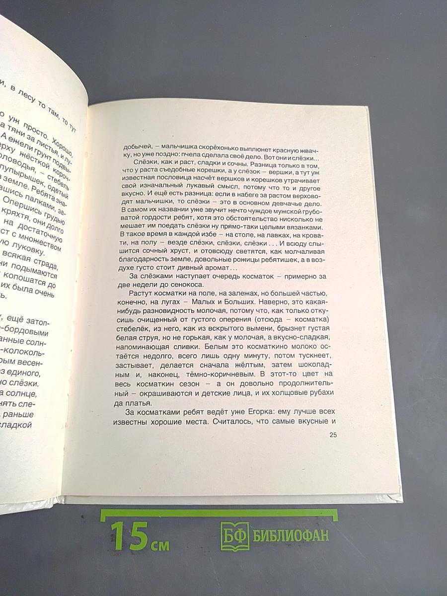 Мишкино детство