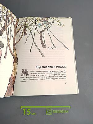 Мишкино детство