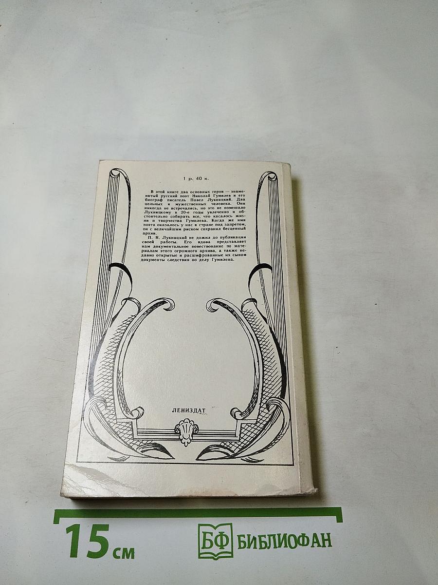 Николай Гумилев. Жизнь поэта по материалам домашнего архива семьи Лукницких
