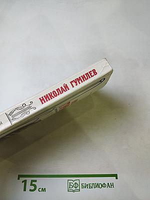 Николай Гумилев. Жизнь поэта по материалам домашнего архива семьи Лукницких