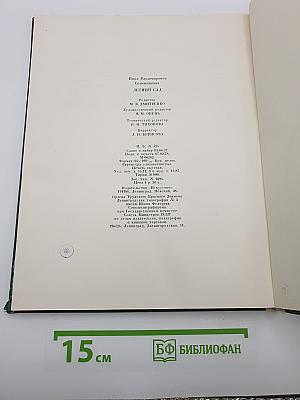 Летний сад