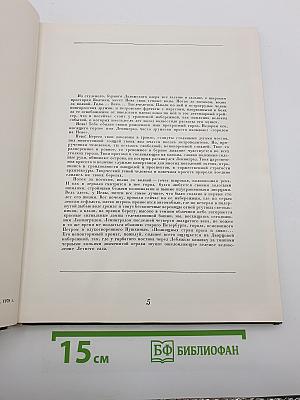 Летний сад