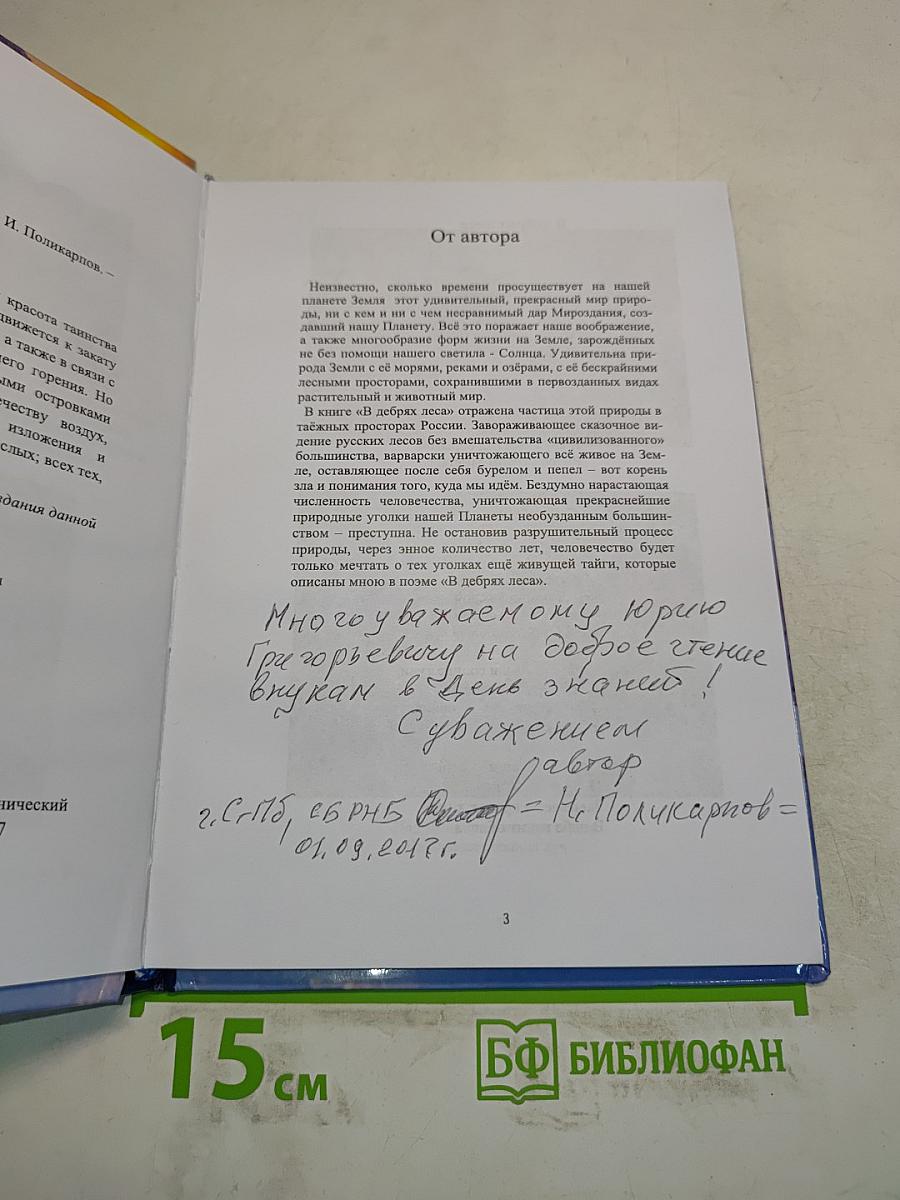 В дебрях леса