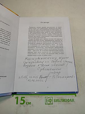 В дебрях леса