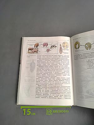 Биология. Животные. Учебник для 7-8 кл. общеобразовательных учреждений