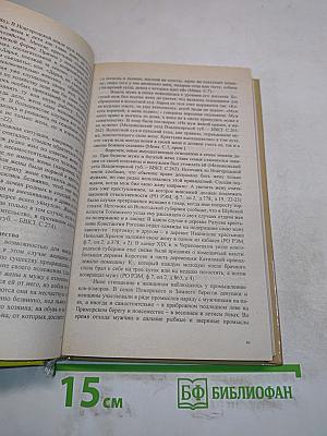 Семья и русское православие (XI-XIX вв.)