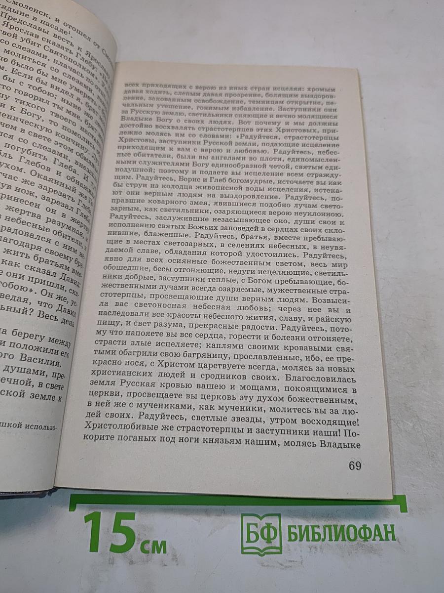 Литература 8 класс