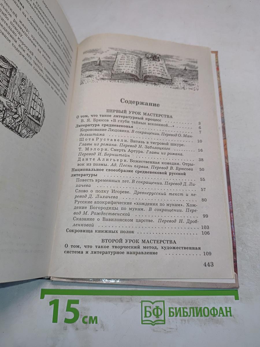 Литература 8 класс