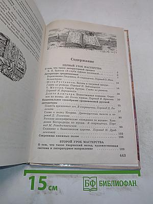 Литература 8 класс