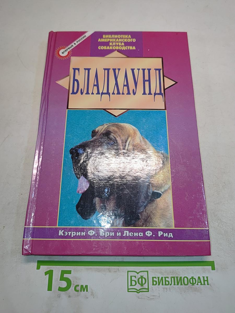 Бладхаунд