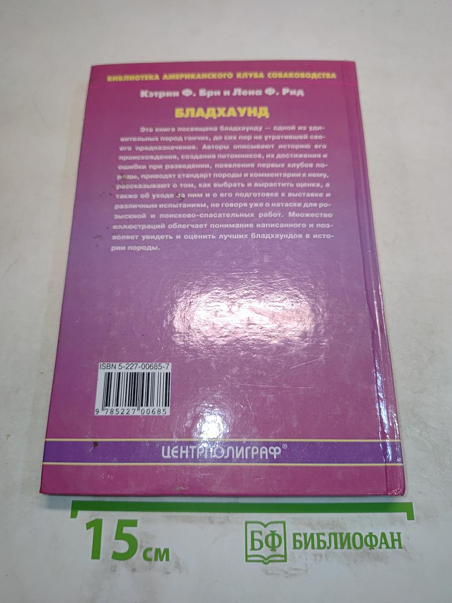Бладхаунд