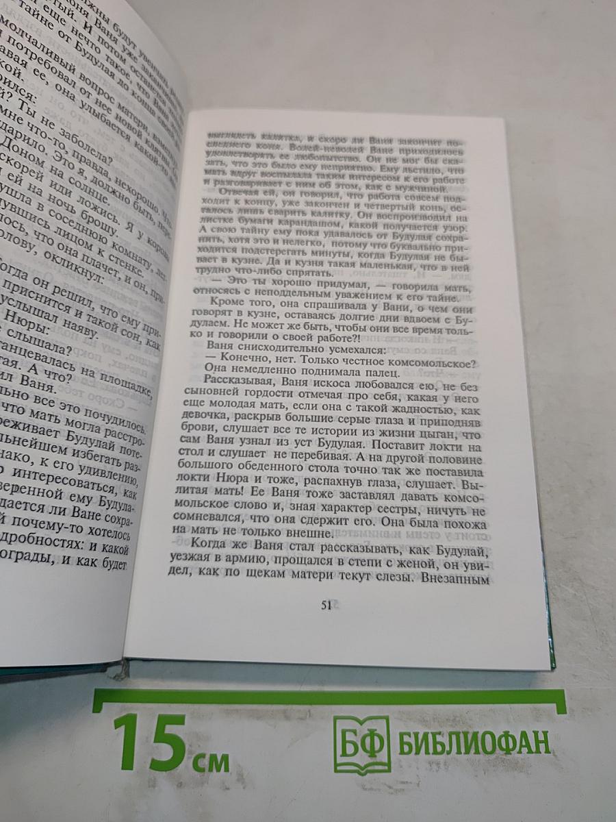 Цыган. Книга первая