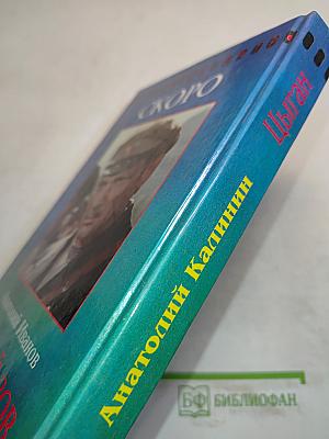 Цыган. Книга первая