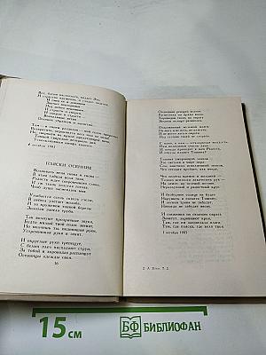 Собрание сочинений в шести томах. Том 2. Стихотворения. Книга вторая (1904-1908)