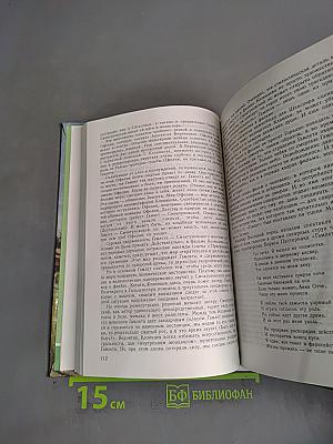Литература. 10 класс. Учебник для общеобразовательных учреждений. В двух частях. Часть 1