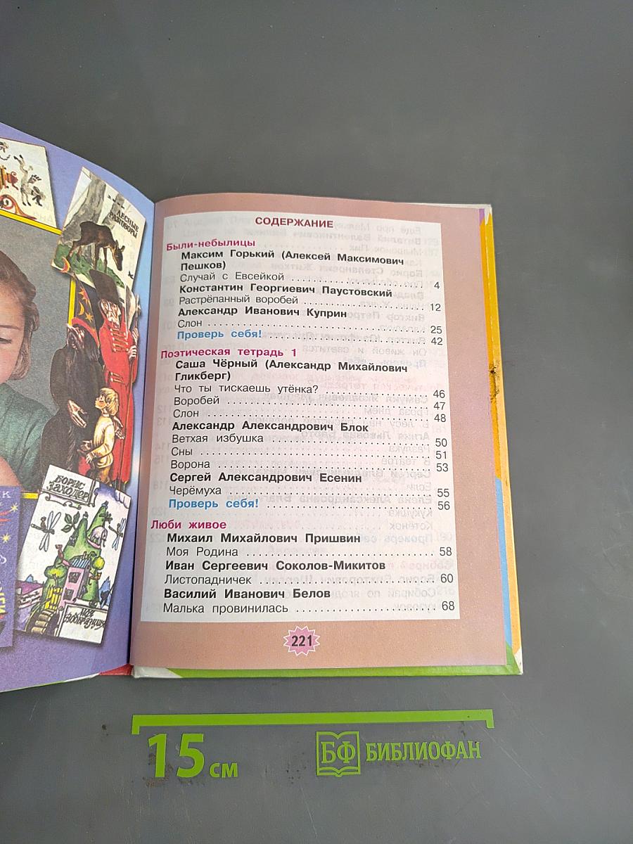 Родная речь. 3 класс. Часть 2