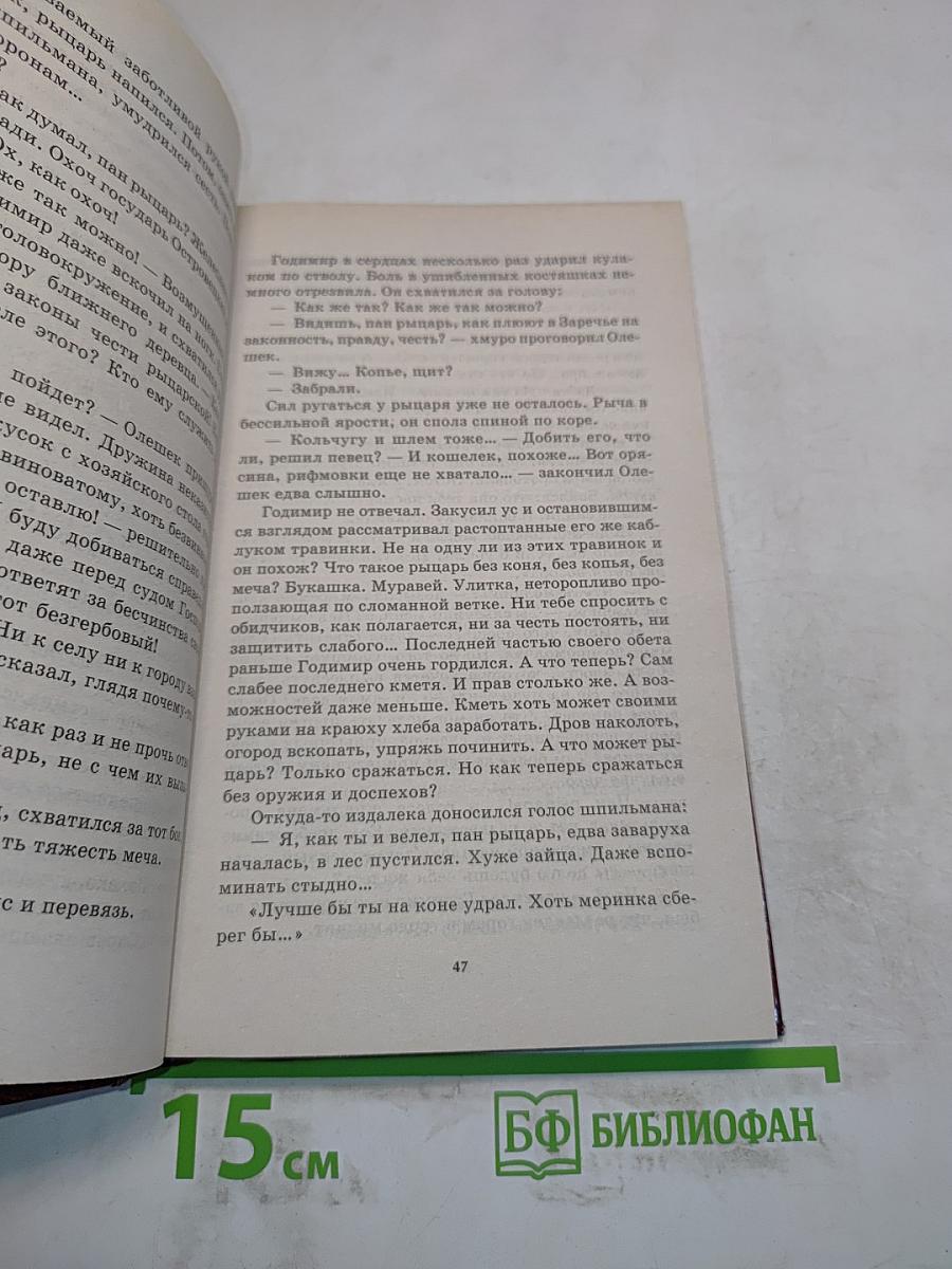 Победитель драконов. Пасынок судьбы