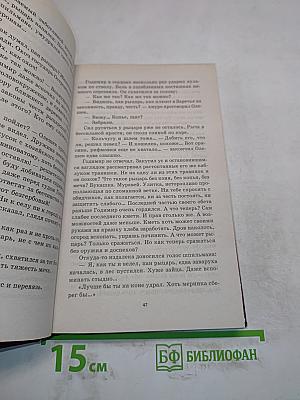 Победитель драконов. Пасынок судьбы