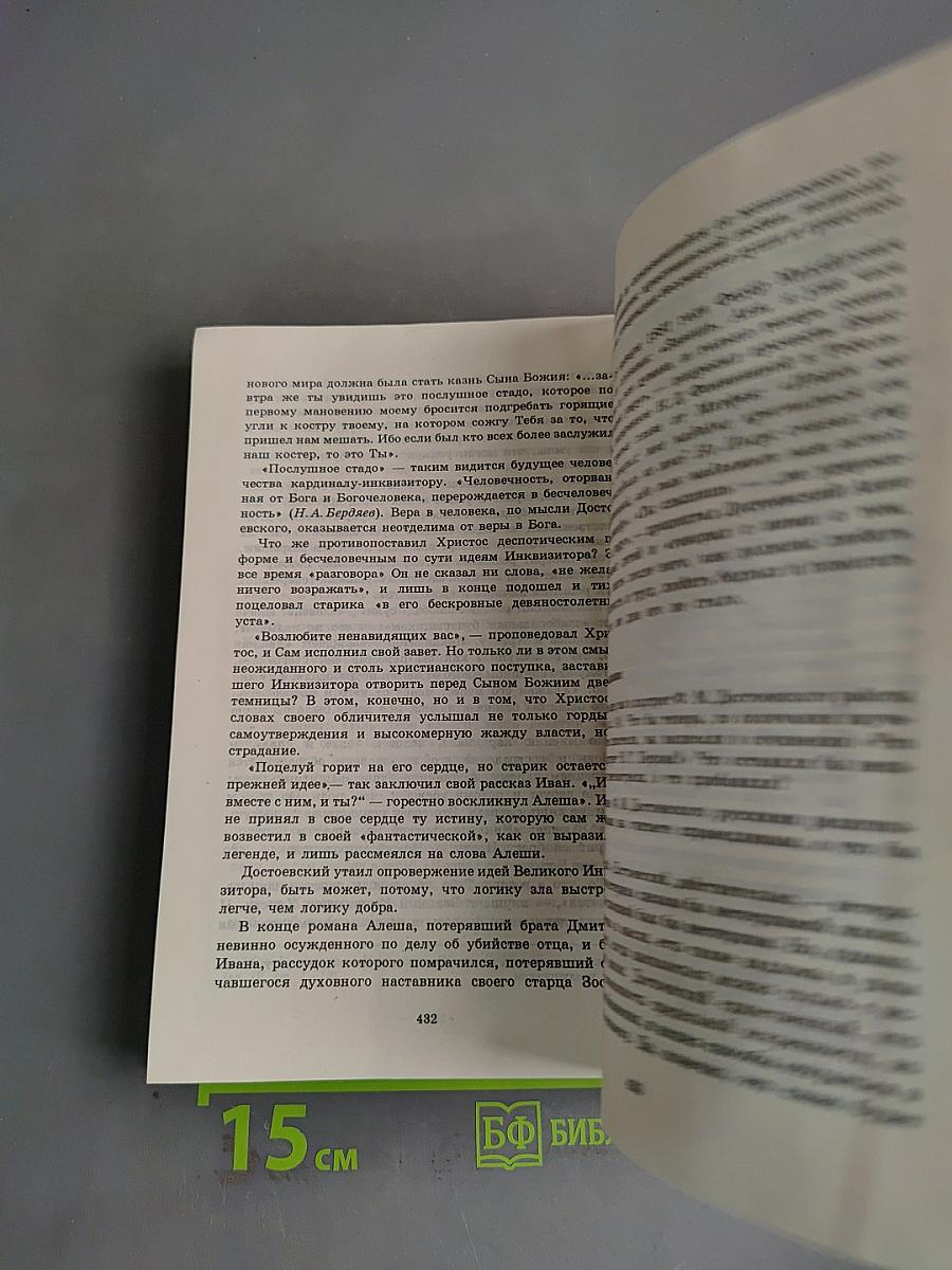 Литература. 10 класс. Часть I