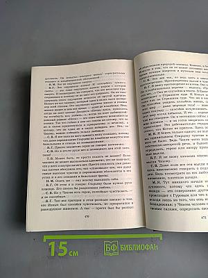 Литература. 10 класс. Часть II