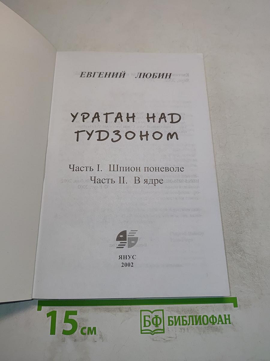 Ураган над Гудзоном