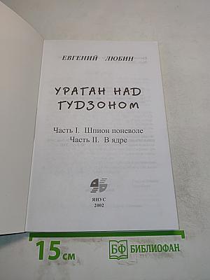 Ураган над Гудзоном