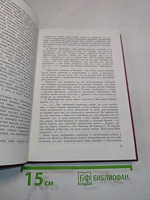 Русская литература XIX века в зеркале критики