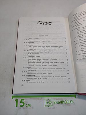 Русская литература XIX века в зеркале критики