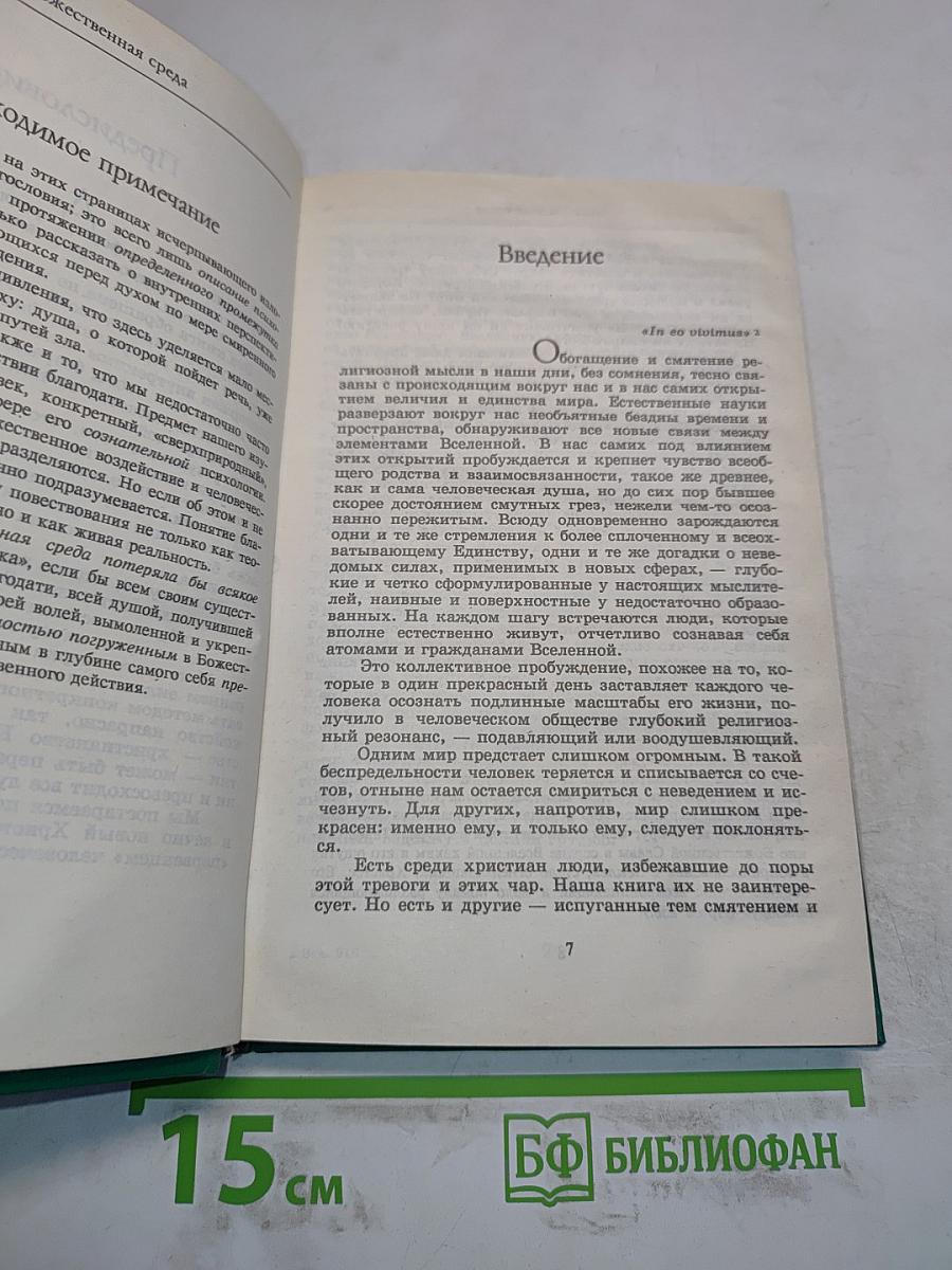 Божественная среда