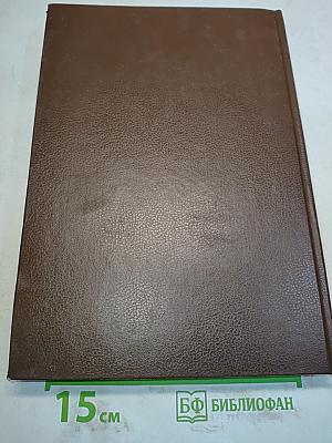 Новая толковая Библия