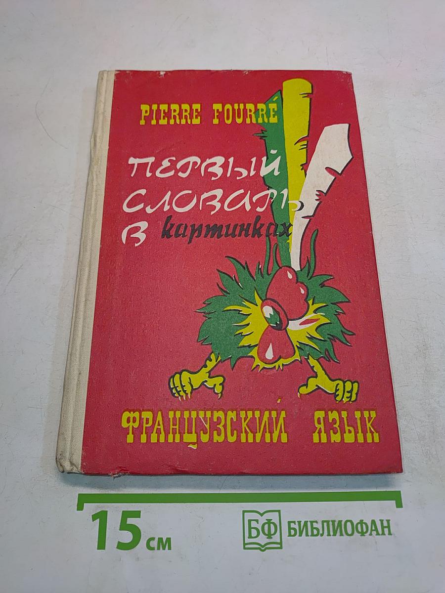 Первый словарь в картинках. Французский язык