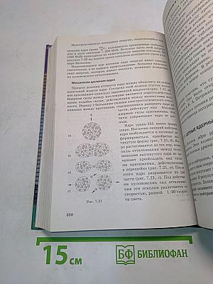 Физика. Оптика. Квантовая физика. 11 класс. Профильный уровень
