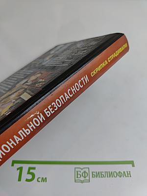 Агент национальной безопасности. Скрипка Страдивари. Дело № 2