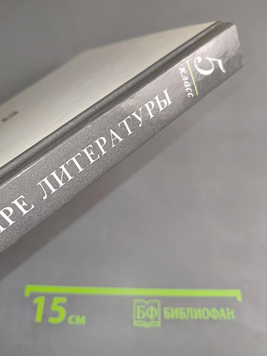 В мире литературы. Учебник-хрестоматия для общеобразовательных учреждений. 5 класс. Часть 2