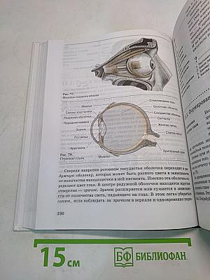 Человек. Основы физиологии и психологии. 9 класс