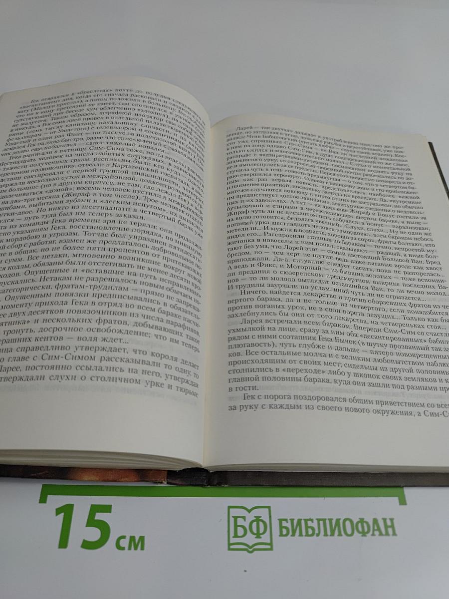 Кроменьшник. Побег от ствола судьбы на горе жизни и смерти. Книга вторая
