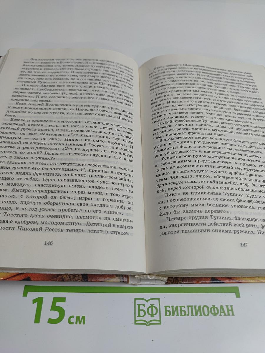 Литература. 10 класс. Часть II. Сквозь даль времен... (вторая половина XIX века)