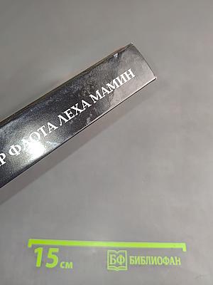 Офицер флота Лёха Мамин