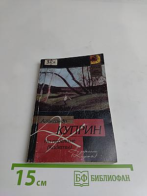 На переломе (Кадеты)