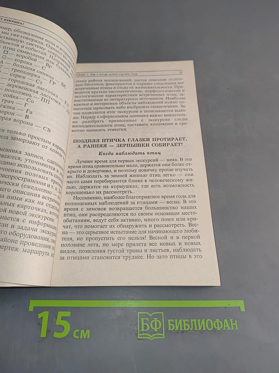 О чем поет кукушка? Наблюдаем за птицами